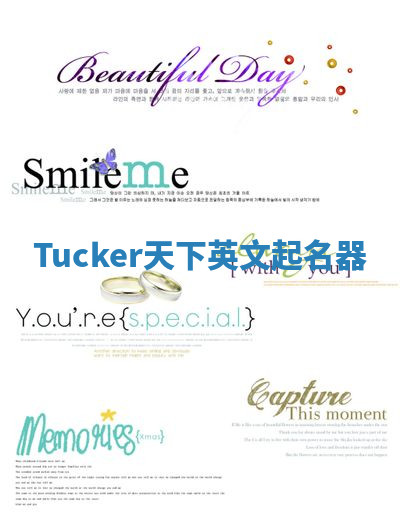 Tucker天下英文起名器