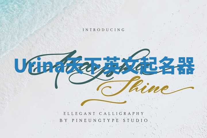 Urina天下英文起名器