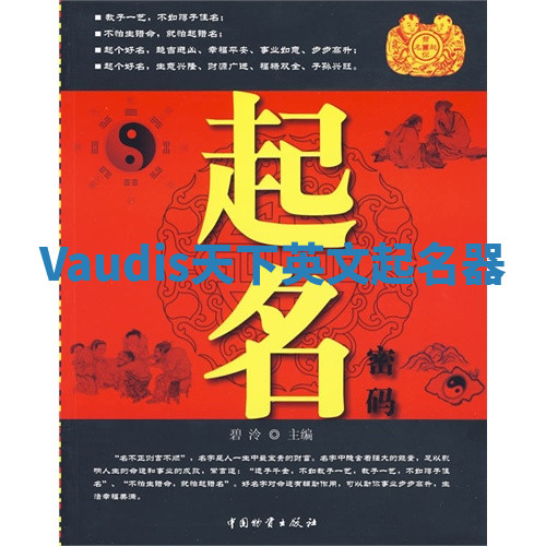 Vaudis天下英文起名器