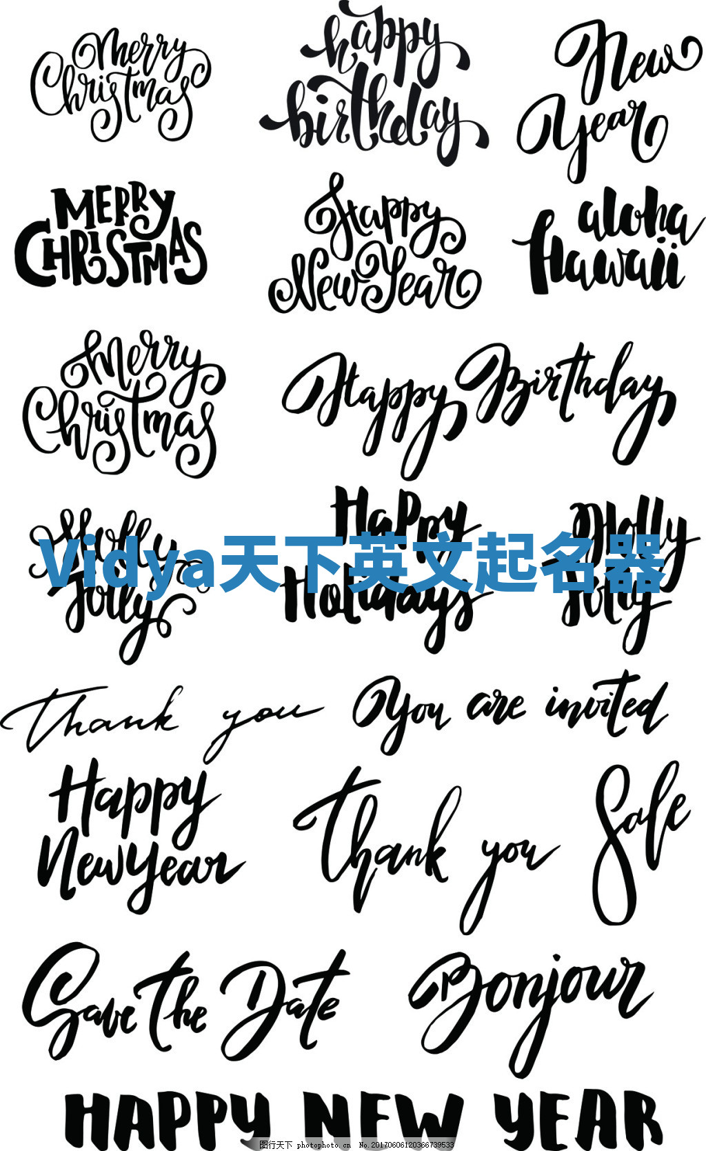 Vidya天下英文起名器