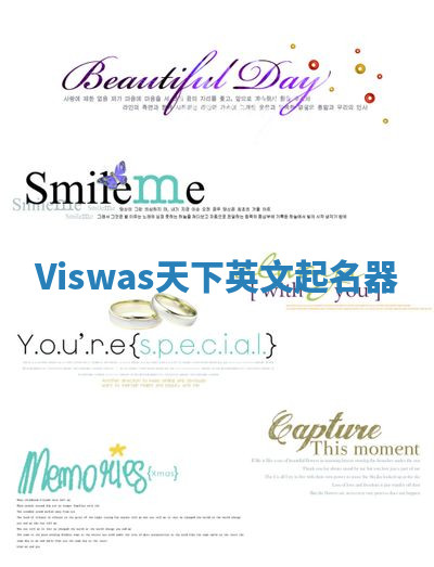 Viswas天下英文起名器