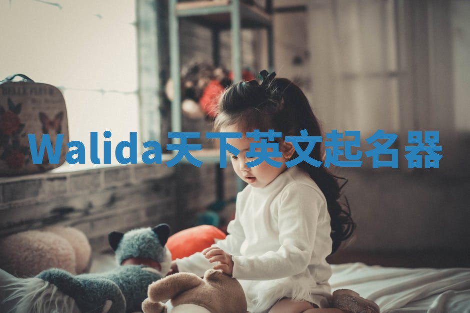 Walida天下英文起名器 Walida天下英文起名器