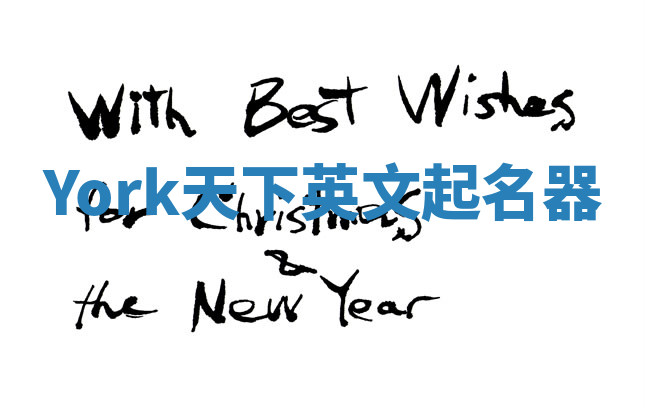 York天下英文起名器 York天下英文起名器