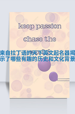 来自拉丁语的天下英文起名器揭示了哪些有趣的历史和文化背景