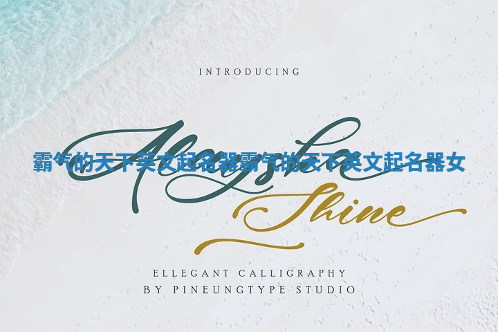 霸气的天下英文起名器_霸气的天下英文起名器女